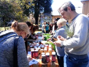 Lee más sobre el artículo Jueves 7 de noviembre – Feria Agroecológica en la Agro.