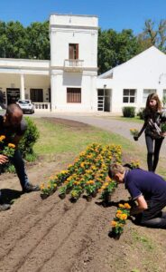 Lee más sobre el artículo Mantenimiento cantero central de la Escuela