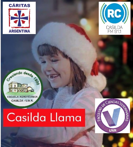 Lee más sobre el artículo Casilda Llama. Donación de alimentos navideños