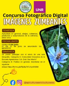 Lee más sobre el artículo Mes de la abeja. Concurso de Fotografía Digital “Imágenes Zumbantes” 