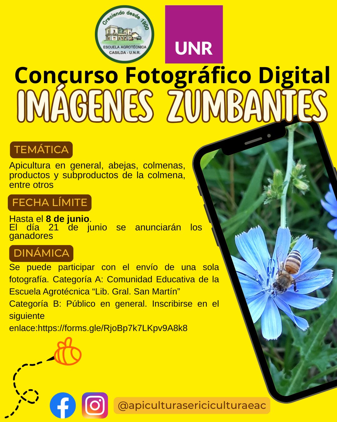 Lee más sobre el artículo Mes de la abeja. Concurso de Fotografía Digital “Imágenes Zumbantes” 