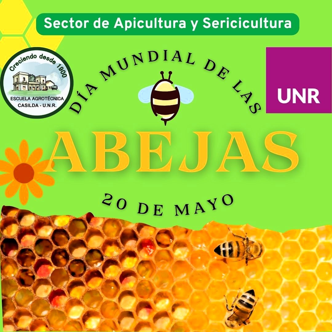 Lee más sobre el artículo 20 de mayo, Día Mundial de las Abejas