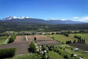 Lee más sobre el artículo Informe sobre el estado de la Agroecología en la Argentina