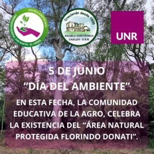 Lee más sobre el artículo 5 de junio – Día del ambiente