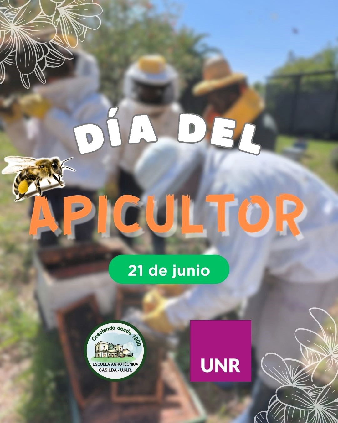 Lee más sobre el artículo 21 de junio – Día del Apicultor.