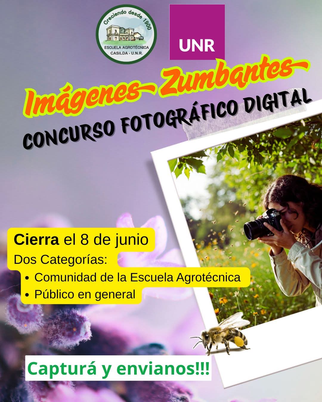 Lee más sobre el artículo Últimos días para participar del concurso de fotografía