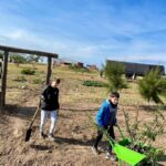 Plantación perimetral-1