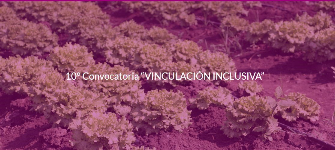 Lee más sobre el artículo 10º convocatoria “Vinculación Inclusiva”