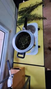 Lee más sobre el artículo Estudiantes de la sede El Trébol realizaron una destilación para extraer aceites de romero.