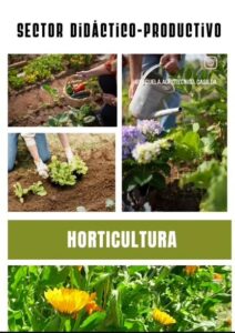 Lee más sobre el artículo Visitamos el sector Horticultura