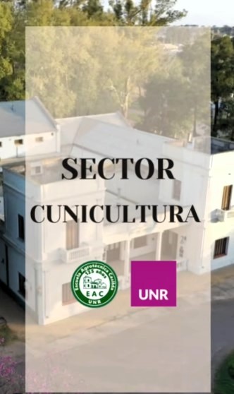 Lee más sobre el artículo En esta ocasión, visitamos el sector Cunicultura.
