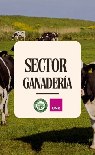 Lee más sobre el artículo Visitamos el sector Ganadería.