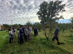 Lee más sobre el artículo Estudiantes de la sede El Trébol participaron de una jornada de capacitación técnica.