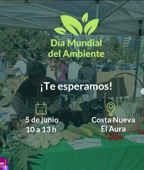 Lee más sobre el artículo Feria Ambiental por el Día Mundial del Ambiente