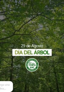 Lee más sobre el artículo 29 de agosto – Día Nacional del Árbol.