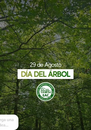 Lee más sobre el artículo 29 de agosto – Día Nacional del Árbol.