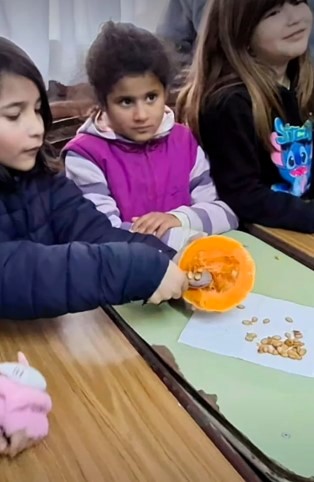 Lee más sobre el artículo Sembrando salud: La huerta agroecológica como estrategia para la soberanía alimentaria