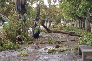 Lee más sobre el artículo Solidaridad y compromiso de APUR con la comunidad universitaria de Casilda tras la emergencia climática