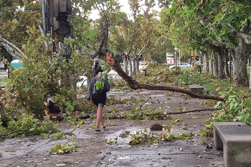 Lee más sobre el artículo Solidaridad y compromiso de APUR con la comunidad universitaria de Casilda tras la emergencia climática