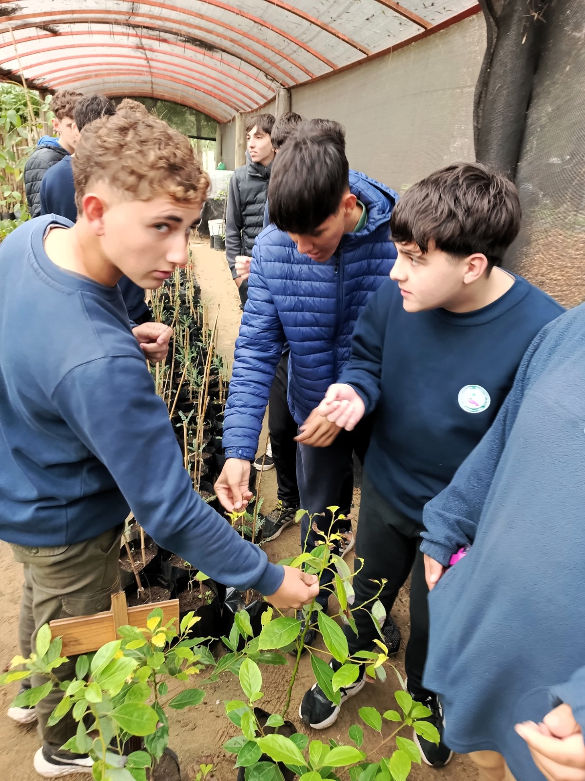 Lee más sobre el artículo Visita al Vivero Municipal de El Trébol – Proyecto de Árboles Nativos