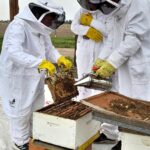 Actividades en los sectores-3