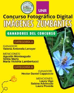 Lee más sobre el artículo Ganadores del concurso fotográfico digital “Imágenes Zumbantes”.