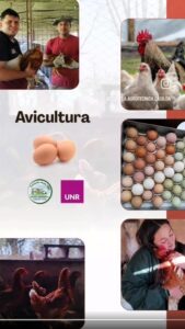 Lee más sobre el artículo Visita al sector didáctico – productivo Avicultura