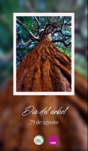 Lee más sobre el artículo 29 de agosto Día del Árbol.