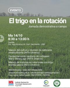Lee más sobre el artículo El trigo en la rotación