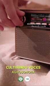 Lee más sobre el artículo Estudiantes de quinto y sexto año saldrán al aire en Radio del Sur 90.5