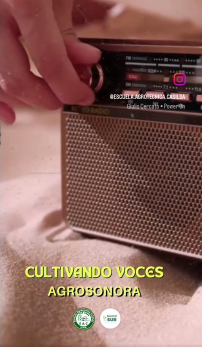 Lee más sobre el artículo Estudiantes de quinto y sexto año saldrán al aire en Radio del Sur 90.5