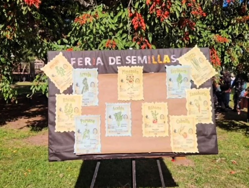 Lee más sobre el artículo Se desarrolló la Primera Feria de Semillas en la Escuela.
