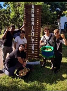 Lee más sobre el artículo Inició la cosecha de duraznos en el sector Arboricultura y Fruticultura