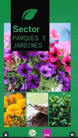 Lee más sobre el artículo Visitamos el sector Parques y Jardines