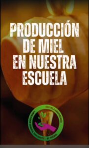Lee más sobre el artículo Produciendo miel en nuestra Escuela de El Trébol.