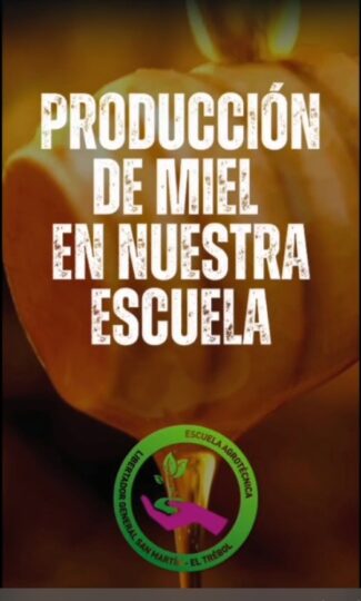 Lee más sobre el artículo Produciendo miel en nuestra Escuela de El Trébol.
