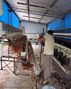 Lee más sobre el artículo Reacondicionamiento del Sector Granja.