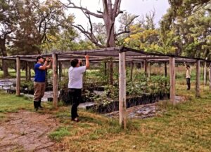 Lee más sobre el artículo Reacondicionamiento del Sector Arboricultura.