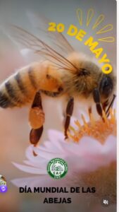 Lee más sobre el artículo 20 de mayo, Día Mundial de las Abejas.