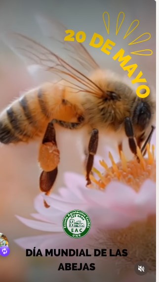 Lee más sobre el artículo 20 de mayo, Día Mundial de las Abejas.