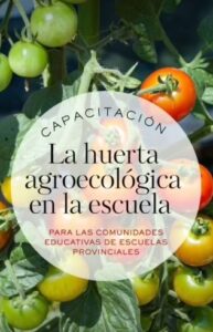 Lee más sobre el artículo Proyecto: “La huerta agroecológica en la escuela”