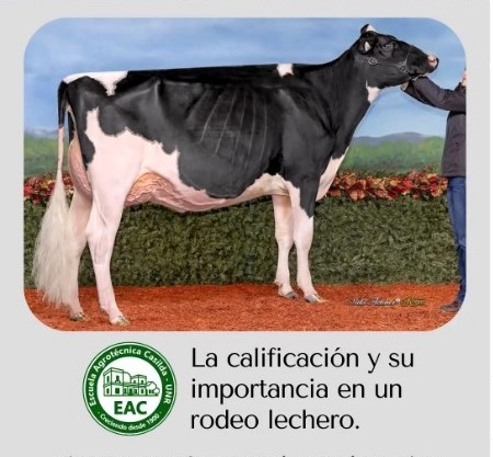 Lee más sobre el artículo Charla sobre “La calificación y su importancia en un rodeo lechero”.