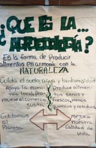 Lee más sobre el artículo Promoviendo la Agroecología a través de la Comunicación Visual.