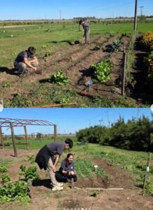 Lee más sobre el artículo Renovamos nuestra huerta.
