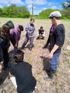 Lee más sobre el artículo Actividades en el campo de la escuela junto a la delegación francesa.